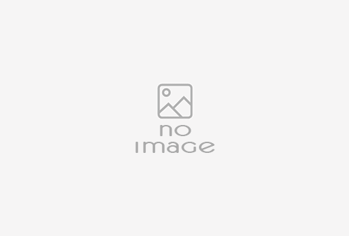 5013tsds43037